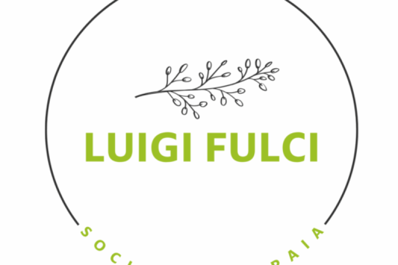 logo 550x550